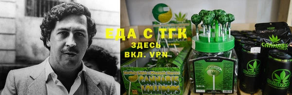 ECSTASY Михайлов