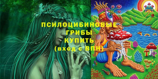 метадон Михайловск